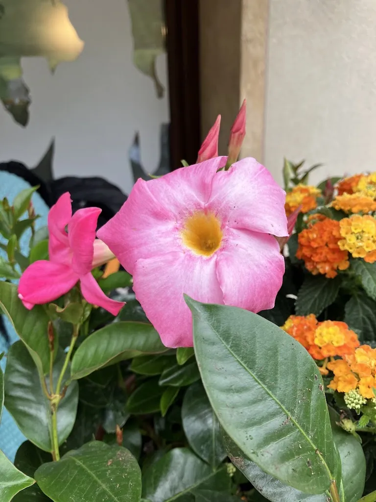 Dmytro Buldakov_Trattoria La Brasera_Costa Volpino_review