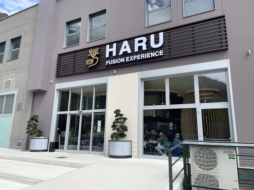Haru Asian Fusion Restaurant restaurant in Darfo Boario Terme