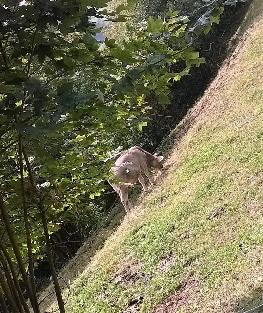 յαck թ_Agriturismo Al Sass_Dossena_review