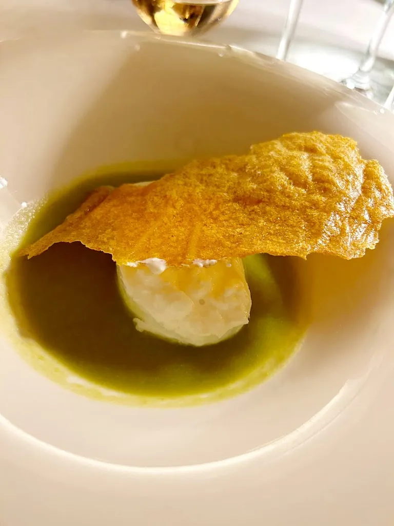 Andrea Chittò_Saten_Drizzona_Bewertung