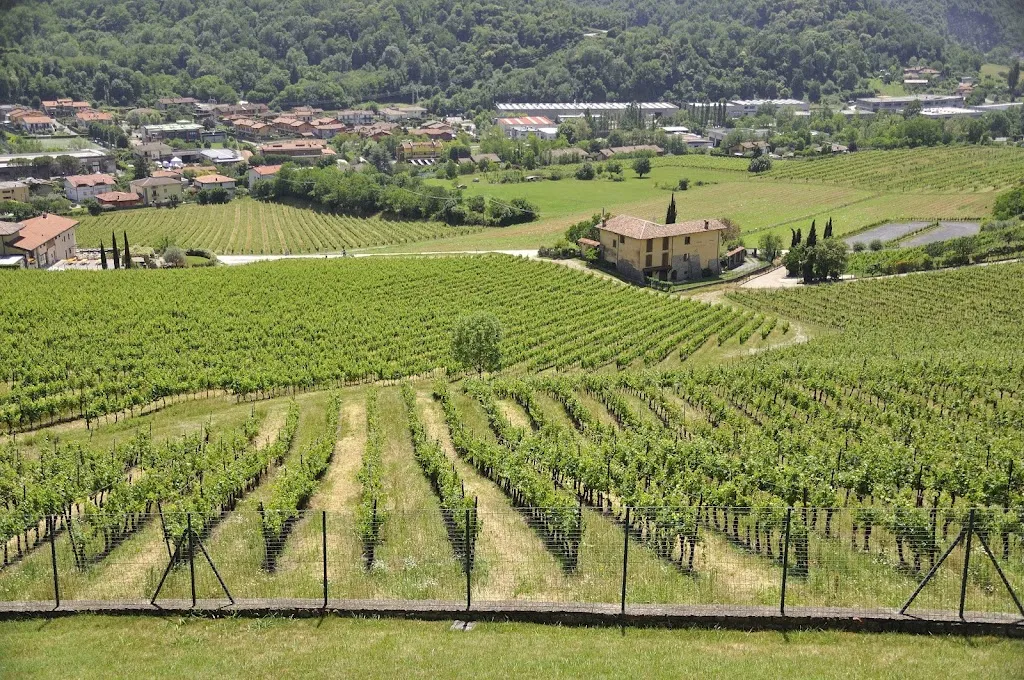 La Locanda Armonia_Entratico_slider_image_3