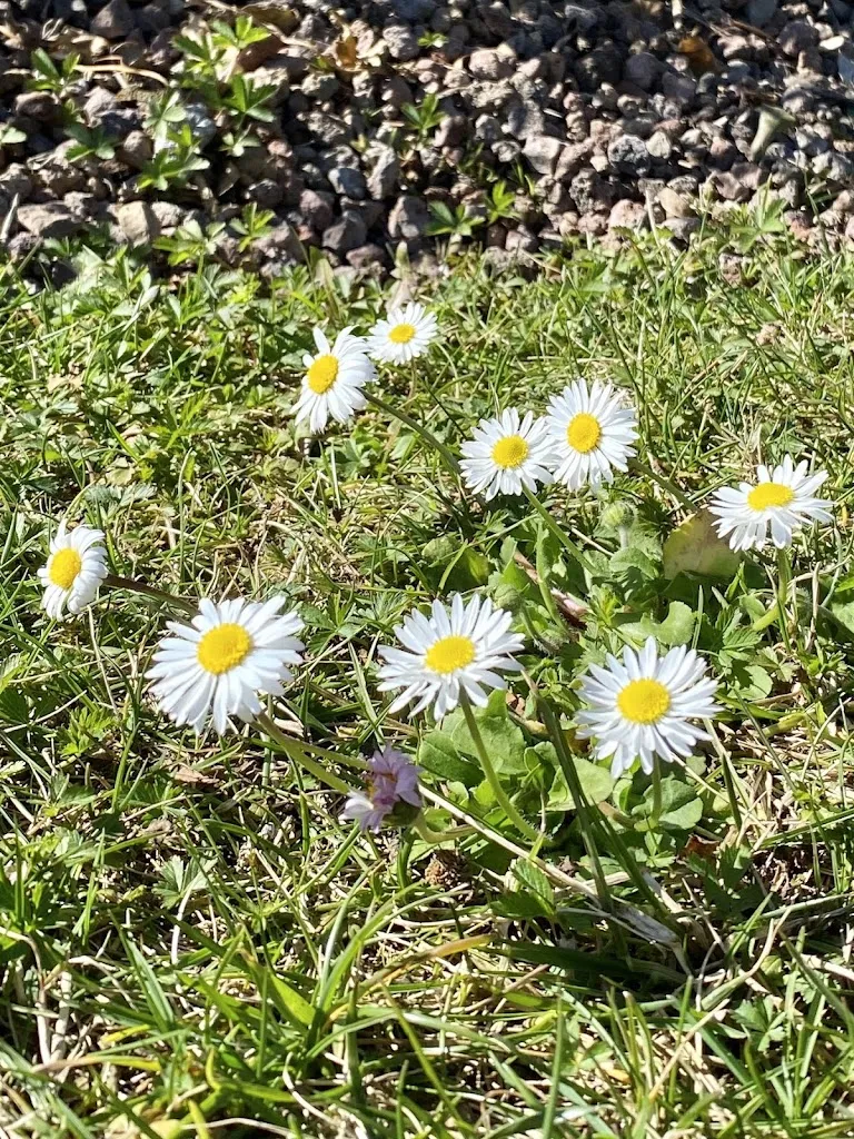 Elna Tan_Pio Nono Restaurant_Erbusco_review