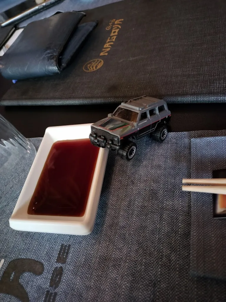 Gabriel Beduzzi_NAGOYA ERBUSCO ROVATO_Erbusco_review