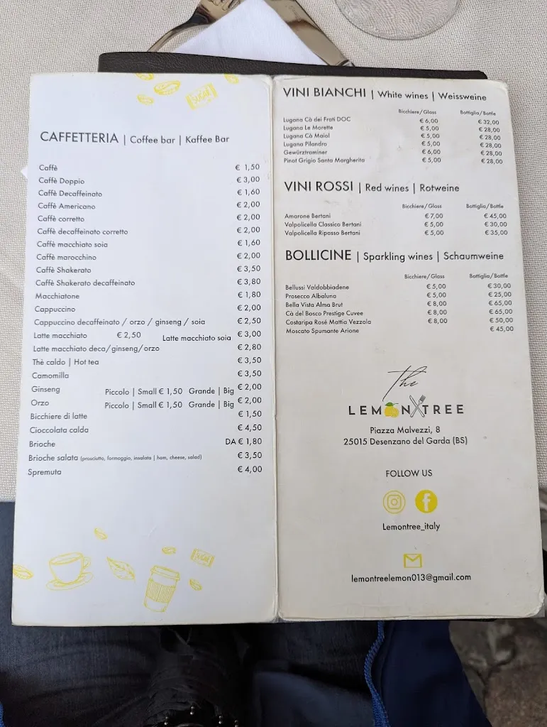 Menu_Lemon Tree Ristorante_Desenzano del Garda_immagine_3