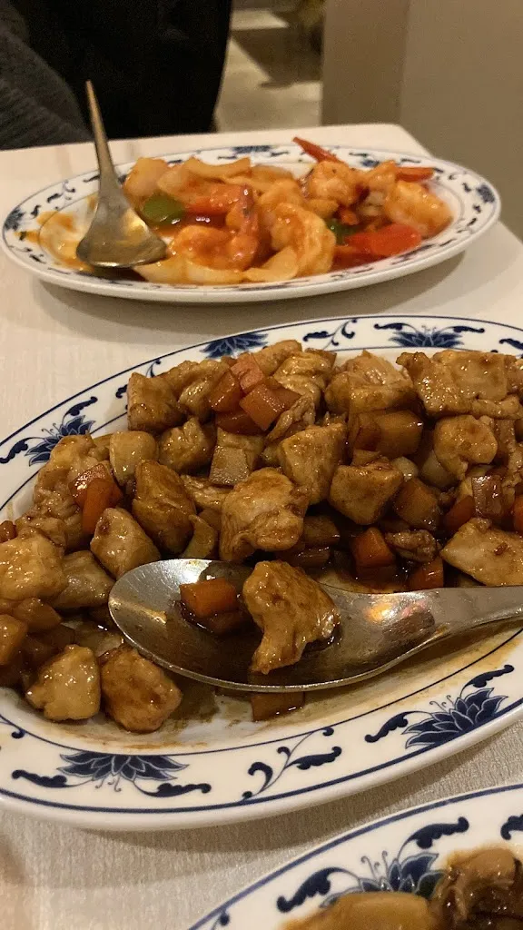 petardMN_Ristorante Cinese Grande Shanghai_Desenzano del Garda_recensione