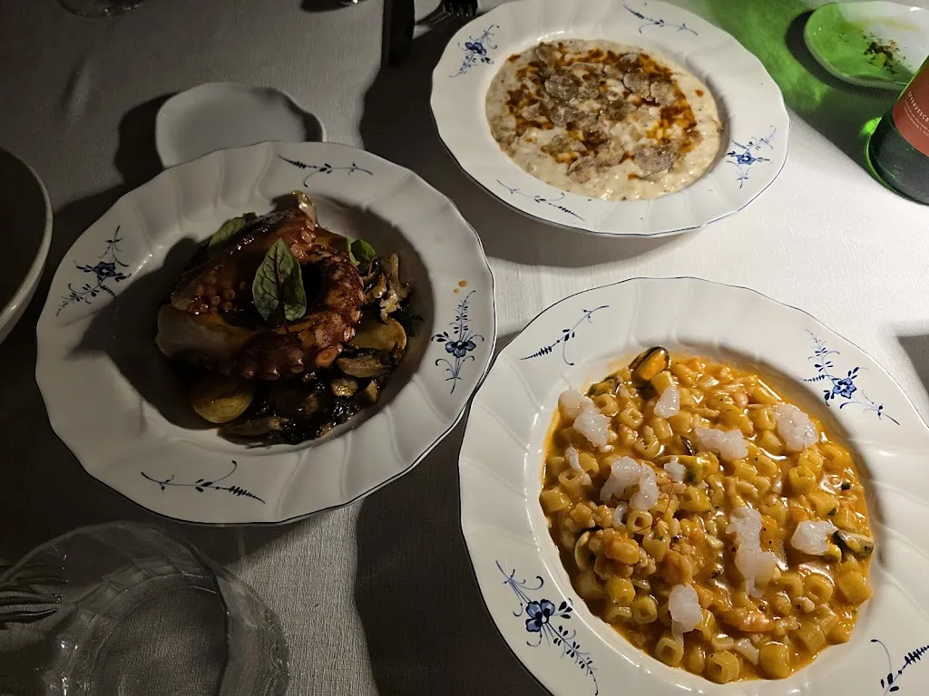 Mounir Travels_Des Artistes_Altamura_review