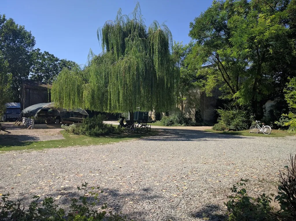 AZ.AGR. CORTE NIGELLA STEFANO PAGANINI_Felonica_slider_image_2