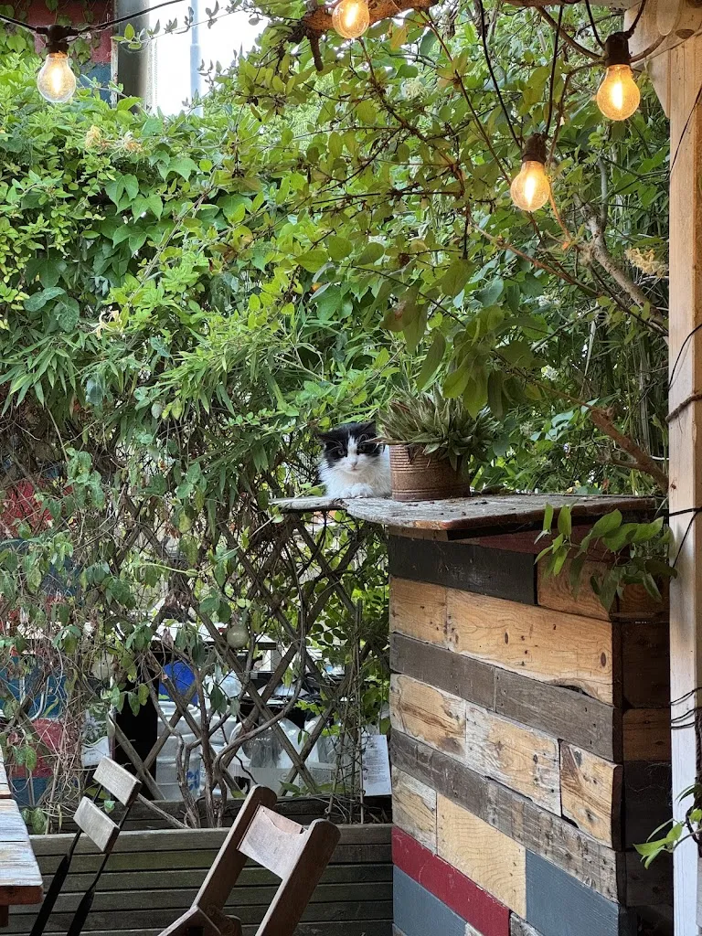 Bořivoj Combaluzier_Circolo Arci Chinaski_Felonica_recensione