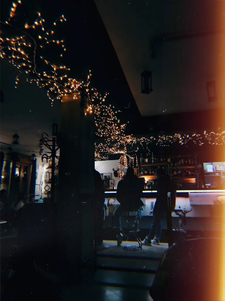 Arielle Kay_Circolo Arci Chinaski_Felonica_recensione