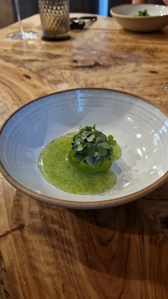 Luca Giacomo Bizzozero_Metodo_Filago_recensione