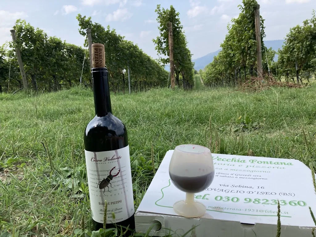 Lukas Volf_La Vecchia Fontana_Fontane-Zurane-Gresine_review