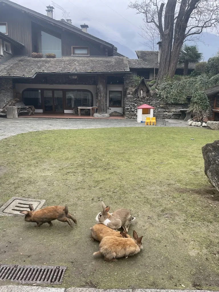 Supriya Thakur_La Brace - Hotel Ristorante Bar_Forcola_review