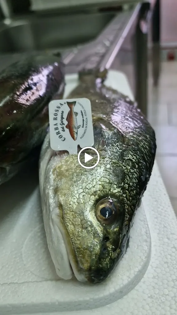 Alterego Comfort Food_Altamura_slider_image_2