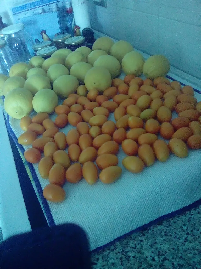 Menu_Ristorante Il Bersagliere - Trattoria Brescia_Flero_image_5