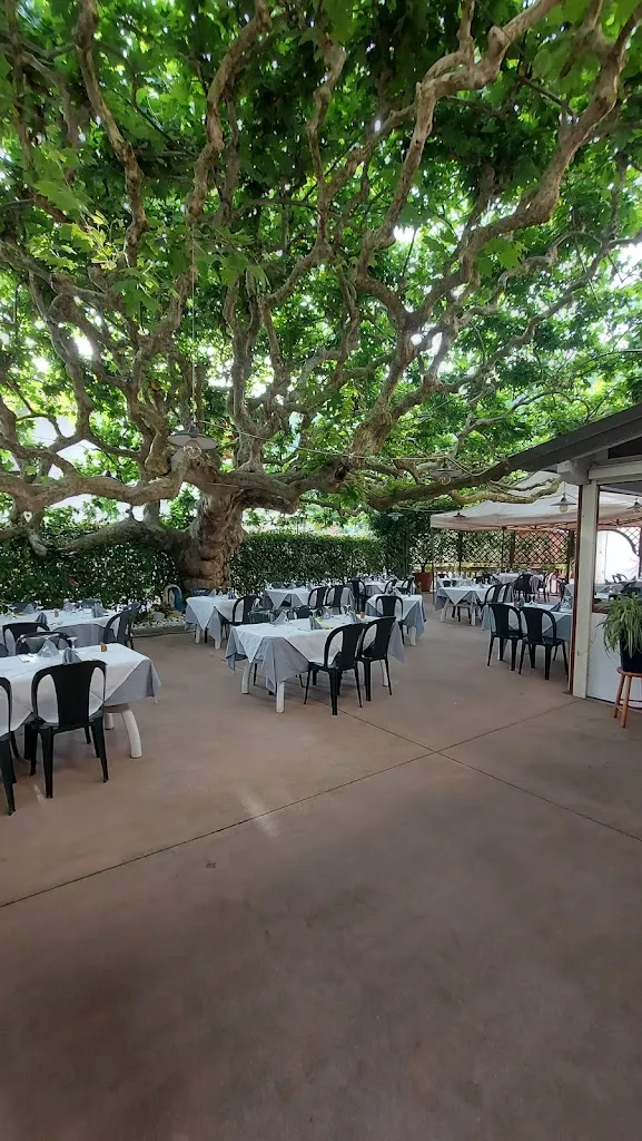Il Platano Da Gira restaurant in Foresto Sparso