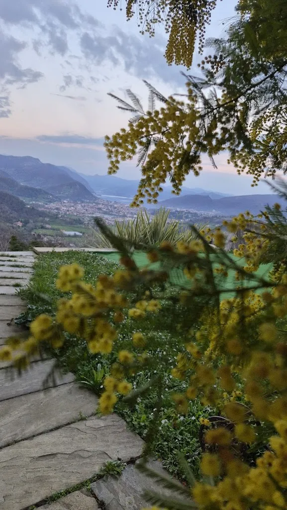 alfio signorini_Bar Trattoria Pierì_Gandosso_review