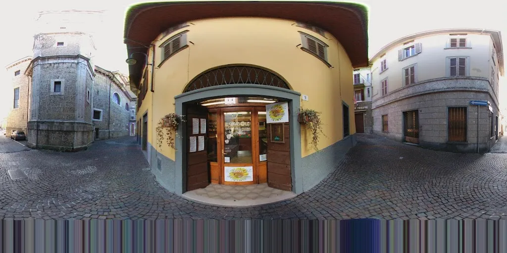 Il Girasole Di Gualdi Elisa_Gandino_slider_image_2