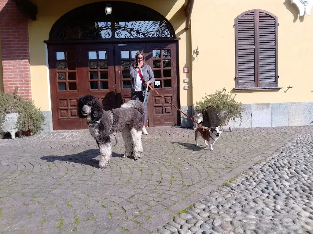 Stefania Acquesta_Farmhouse Cascina Baracca_Gambolò_review