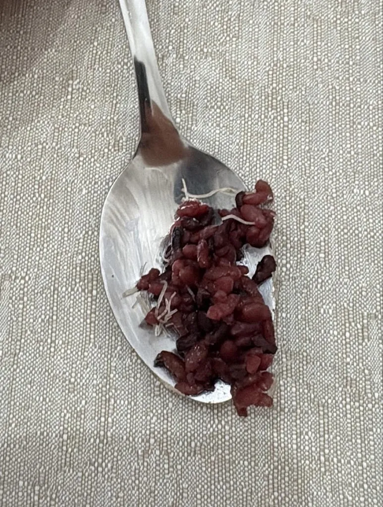 utente_Malanghino Restaurant_Altamura_review