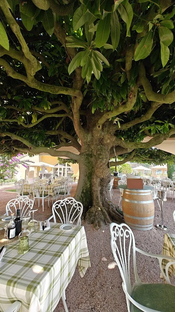 Ristorante Magnolia - Grand Hotel Fasano restaurant in Gardone Riviera