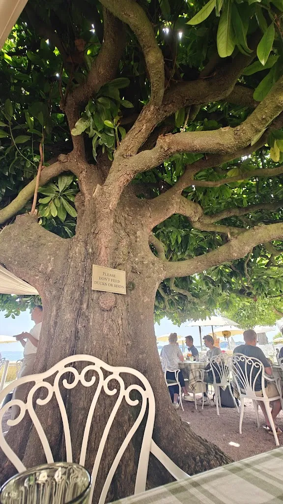 Ristorante Magnolia - Grand Hotel Fasano_Gardone Riviera_slider_image_3