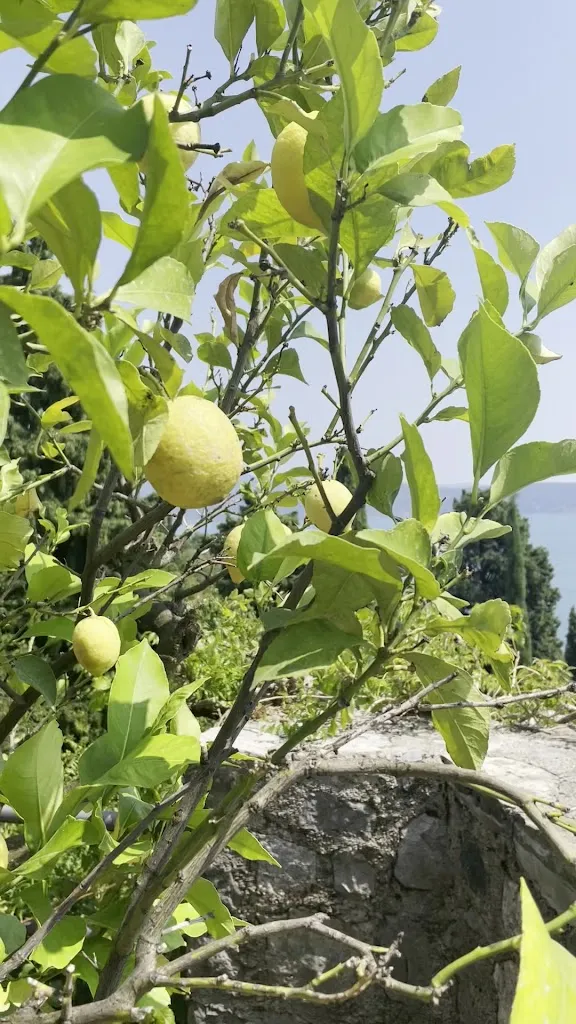 Dimora Bolsone_Gardone Riviera_slider_image_2