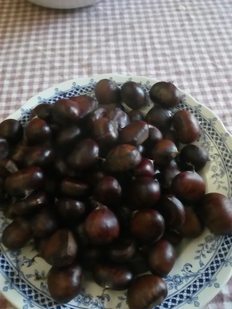 Menu_Pizzeria Degustando_Gavarno Rinnovata_image_7