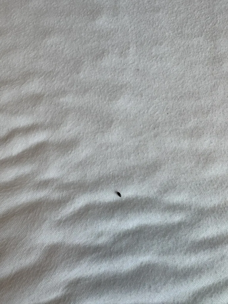 Alice Pakenham_Boutique Hotel Sostaga_Gargnano_review