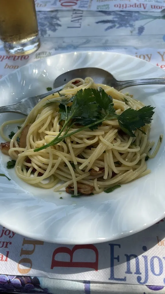 Ilmo Europaeus_albergo ristorante le fontane_Gargnano_review