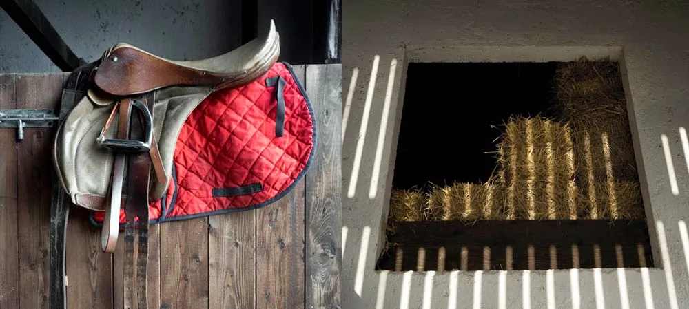 Agriturismo Rosa Selvatica_Gavardo-Sopraponte_slider_image_3