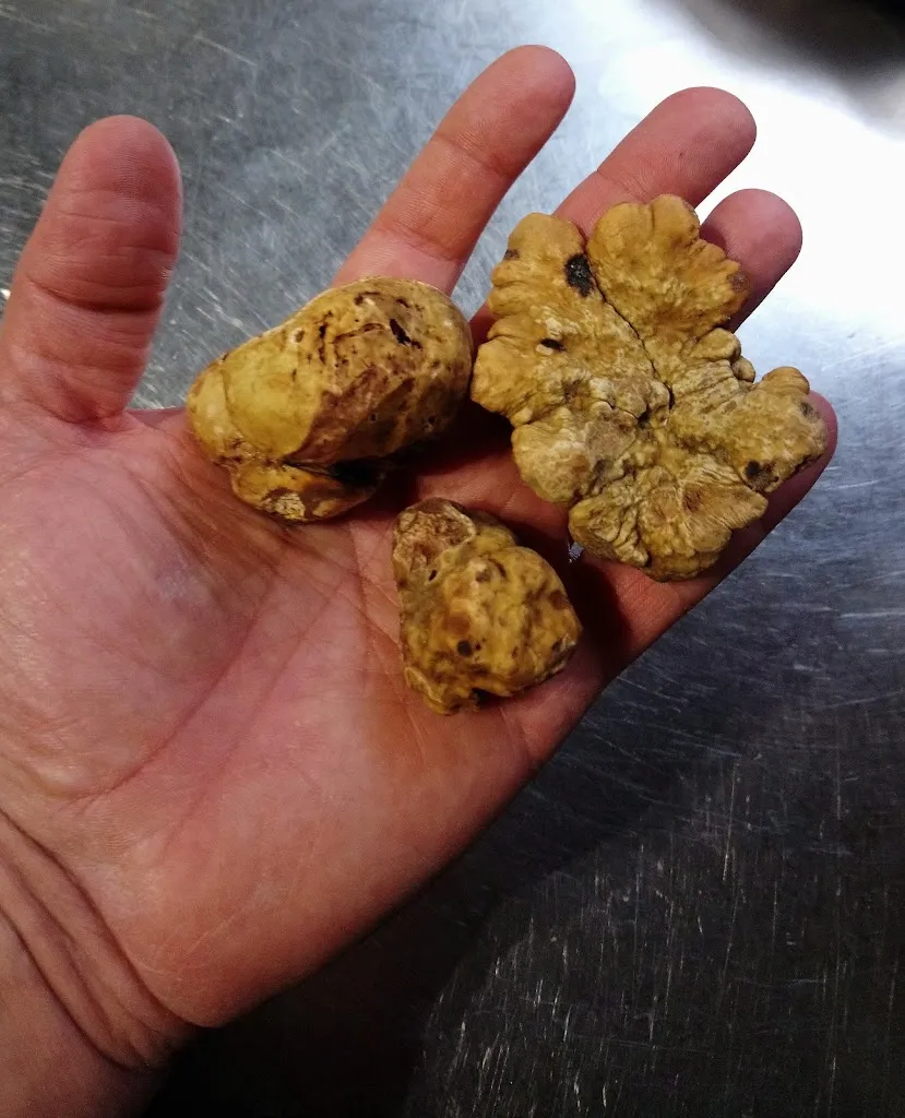 Menu_Enoteca Leone dal 1921_Gazzaniga_image_7