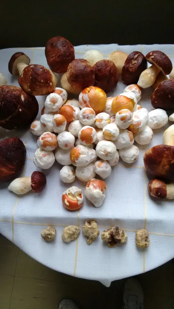 Menu_Albergo Ristorante Le Ortensie_Gemonio_image_6