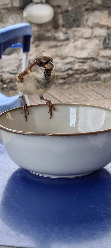 Menu_Bar Pace_Gera Lario_image_8