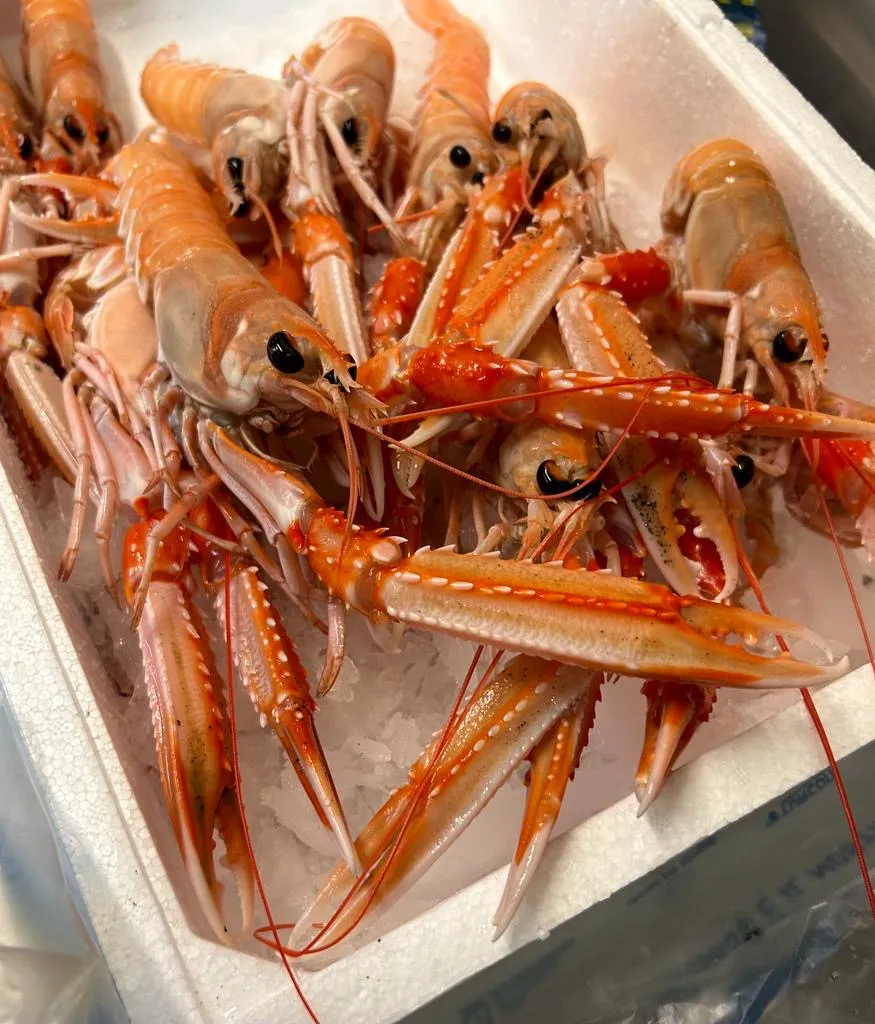 Ghio 1913_Genzone_slider_image_3