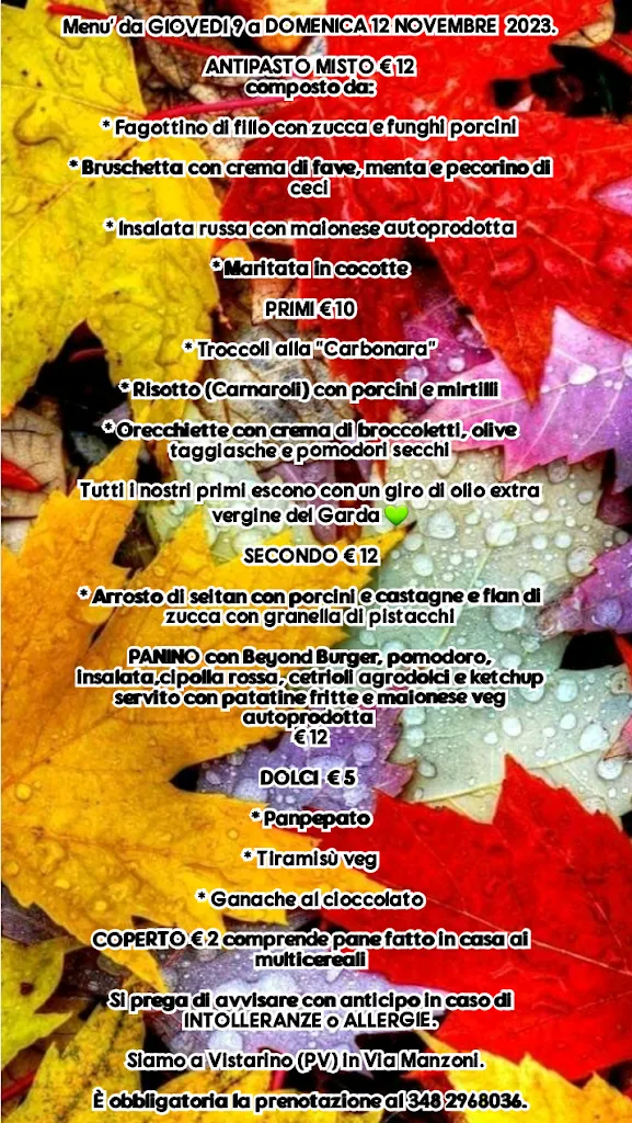 Menu_Ristorante Peruggini_Gerenzago_image_3