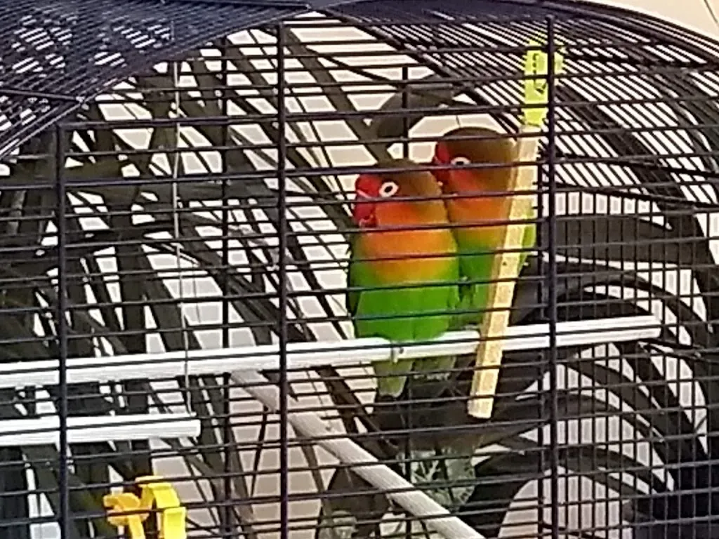 Paul Stokes_Antica Trattoria Pizzo Tre Signori_Gerola Alta_review