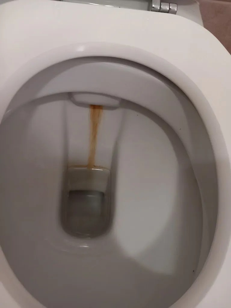 Daniela Ortolan_Albergo Valle del Bitto_Gerola Alta_review