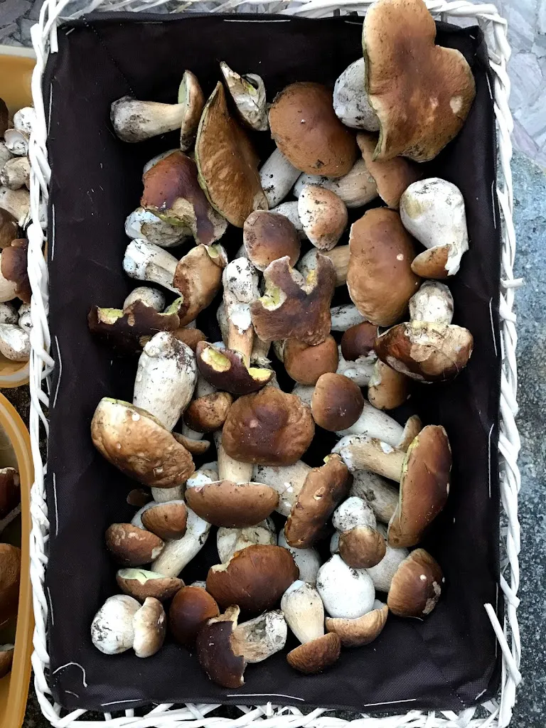 Menu_Bar Centrale - Pizzeria Da Martì - di Cotti Piccinelli Rachele & C._Gianico_image_6