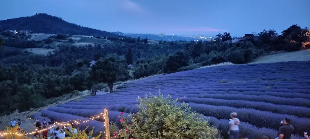 Carlo Lombardo_Cascina Costanza_Godiasco_review