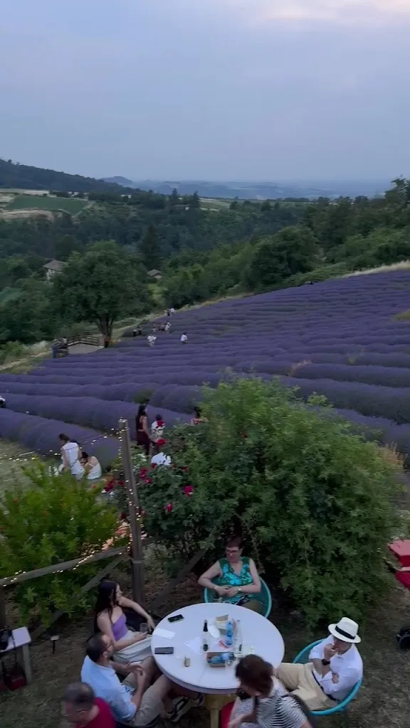 Claudia Recrosio_Cascina Costanza_Godiasco_review