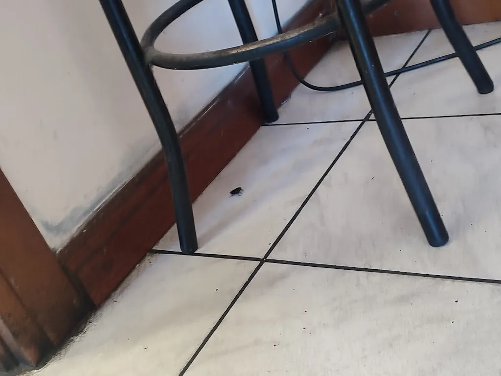 Kaleem Ullah Tahir_City Istanbul Kebab&Pizza_Goito_review