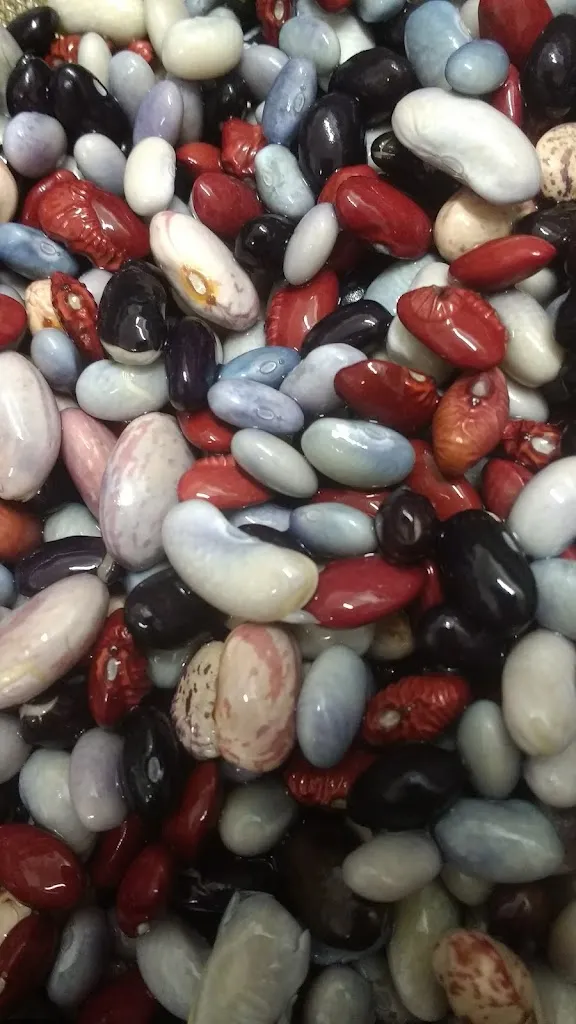 Menu_Mauri Pizza Goito MN_Goito_image_7