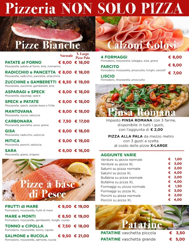 Menu_Pizzeria Non solo pizza_Goito_image_1