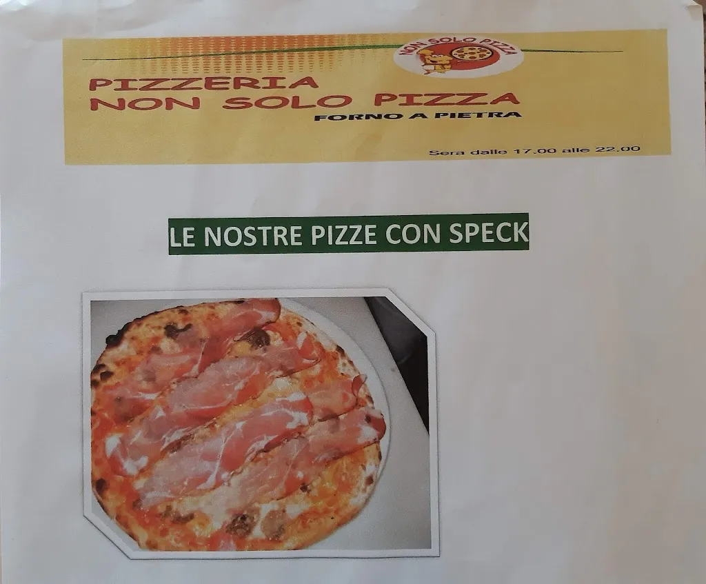 Menu_Pizzeria Non solo pizza_Goito_image_3