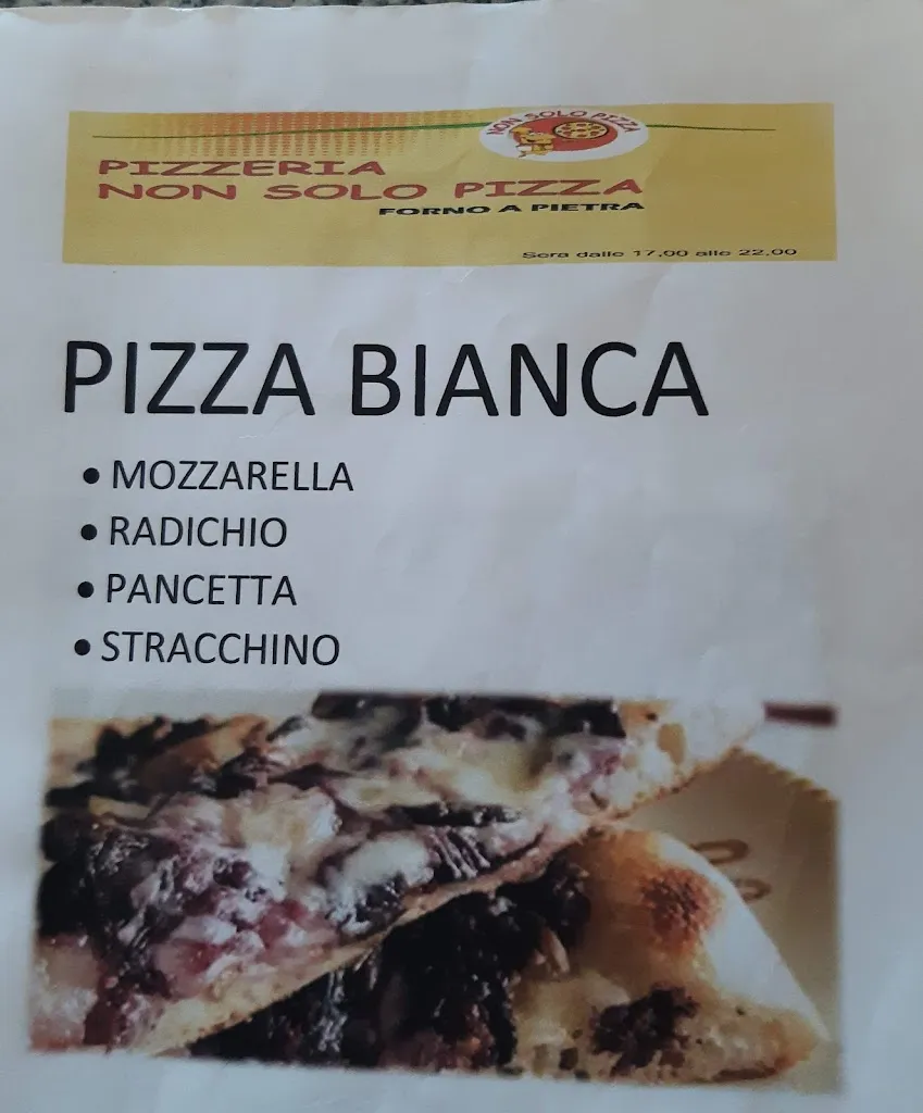 Menu_Pizzeria Non solo pizza_Goito_image_4