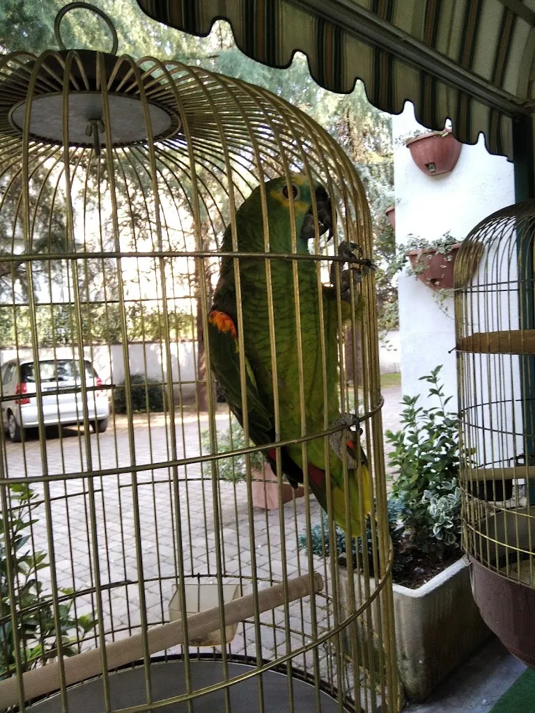 Ristorante Le Acacie_Gorla Maggiore_slider_image_3