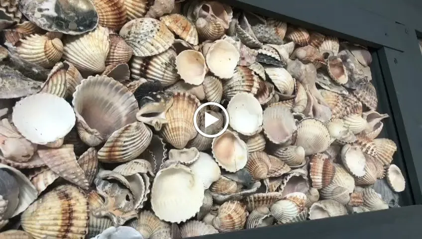 Ristorante Gianforte Luciano. Specialita carne e pesce alla brace._Borgo Santa Maria Immacolata_slider_image_2