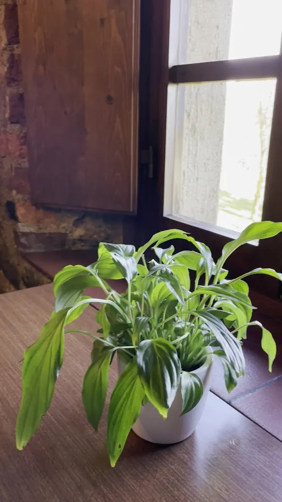 Furio Galli_Ristorante Antica Torre_Gornate Olona_review