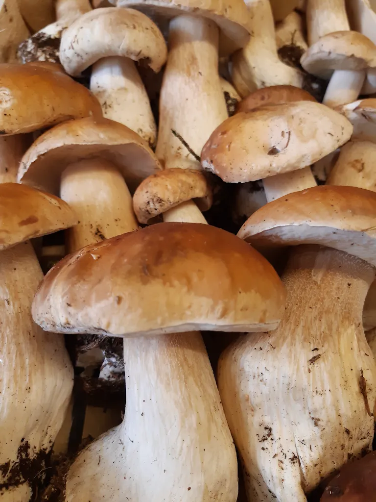 Menu_Bella Italia Restaurant_Gorlago_image_6