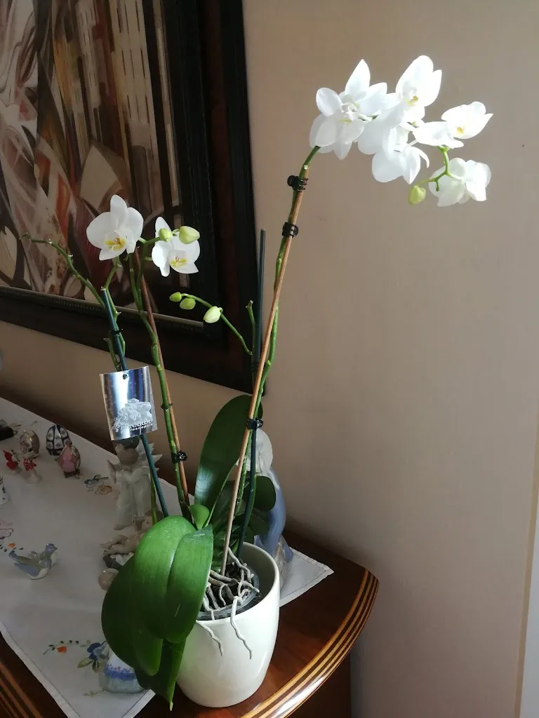 La Corte Dei Golosi Snc Di Gazza Gloria E Anna_Gottolengo_slider_image_3